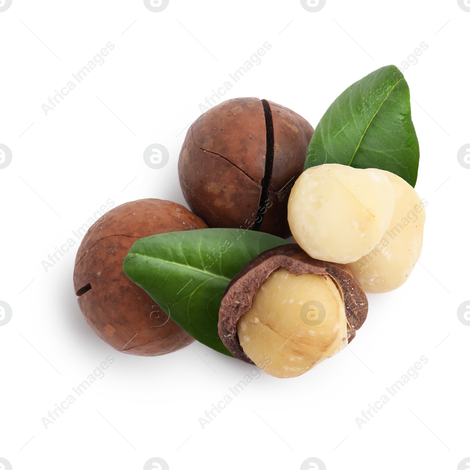 Image of Macadamia nuts and green leaves on white background, top view