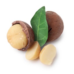 Image of Macadamia nuts and green leaf on white background