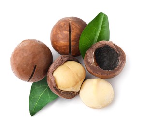 Macadamia nuts and green leaves on white background, top view