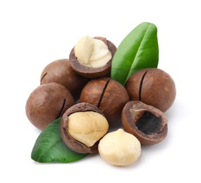 Image of Macadamia nuts and green leaves on white background