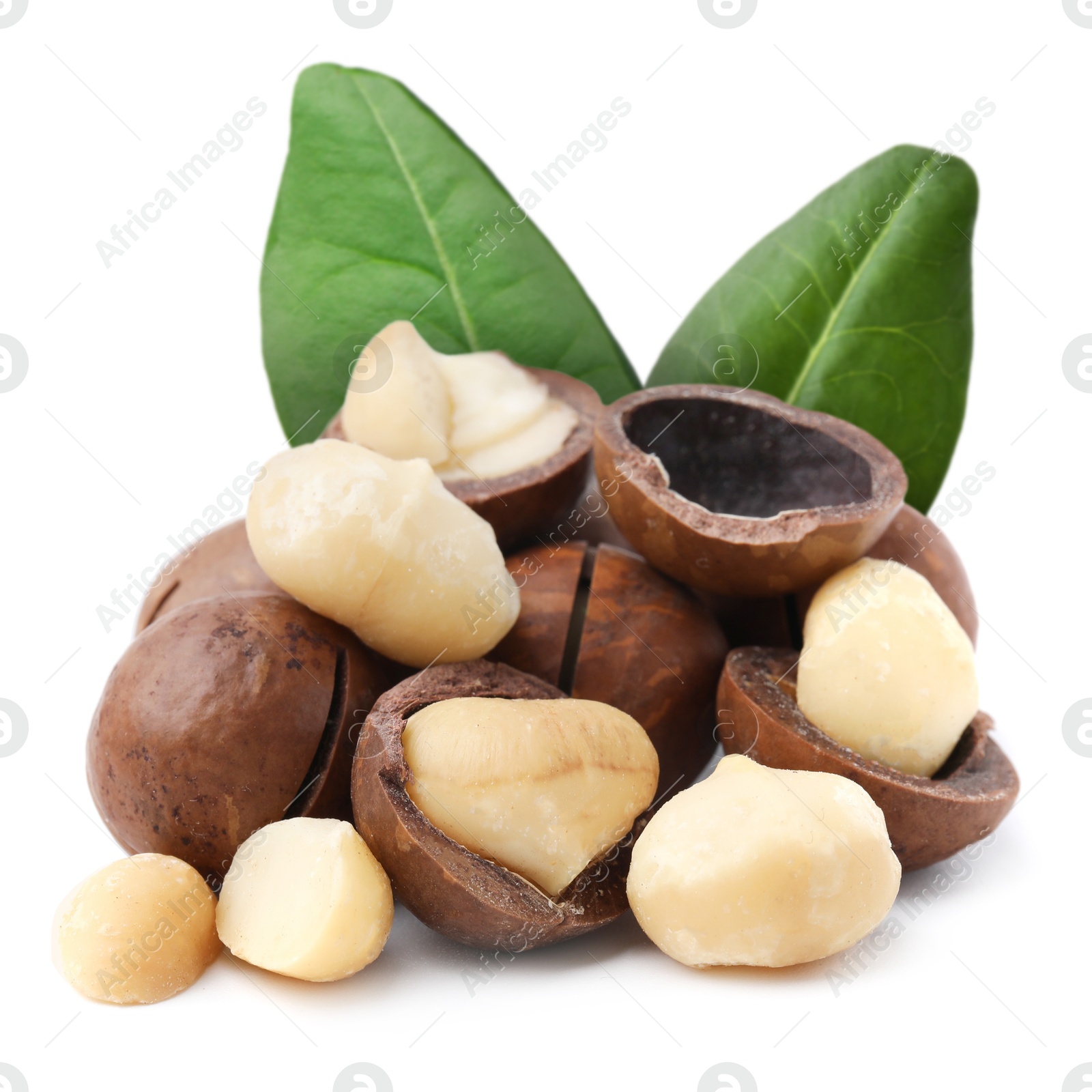 Image of Macadamia nuts and green leaves on white background