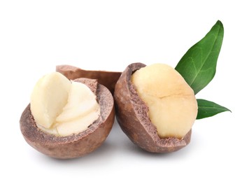 Macadamia nuts and green leaves on white background