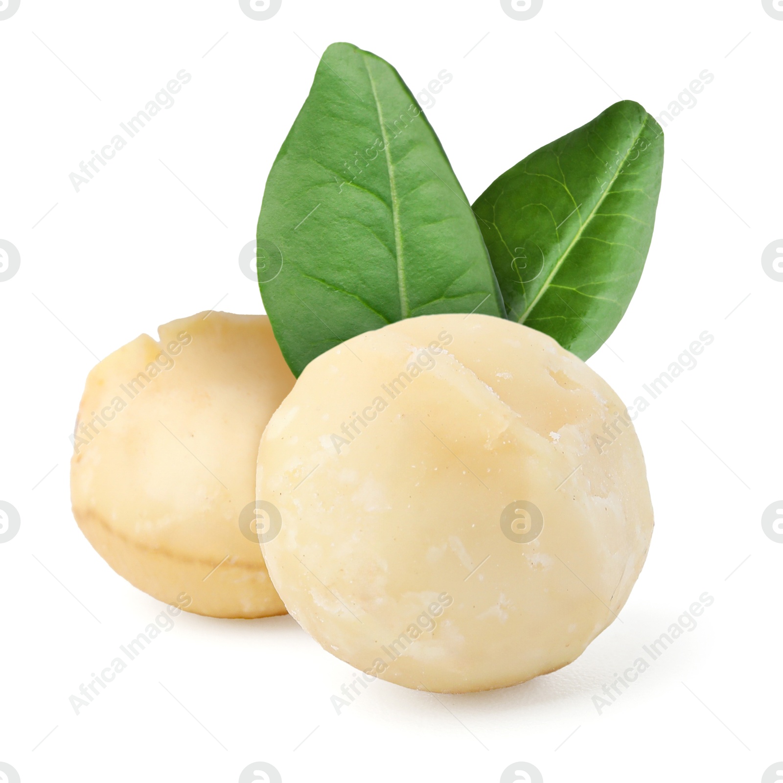 Image of Macadamia nuts and green leaves on white background