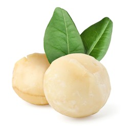 Image of Macadamia nuts and green leaves on white background