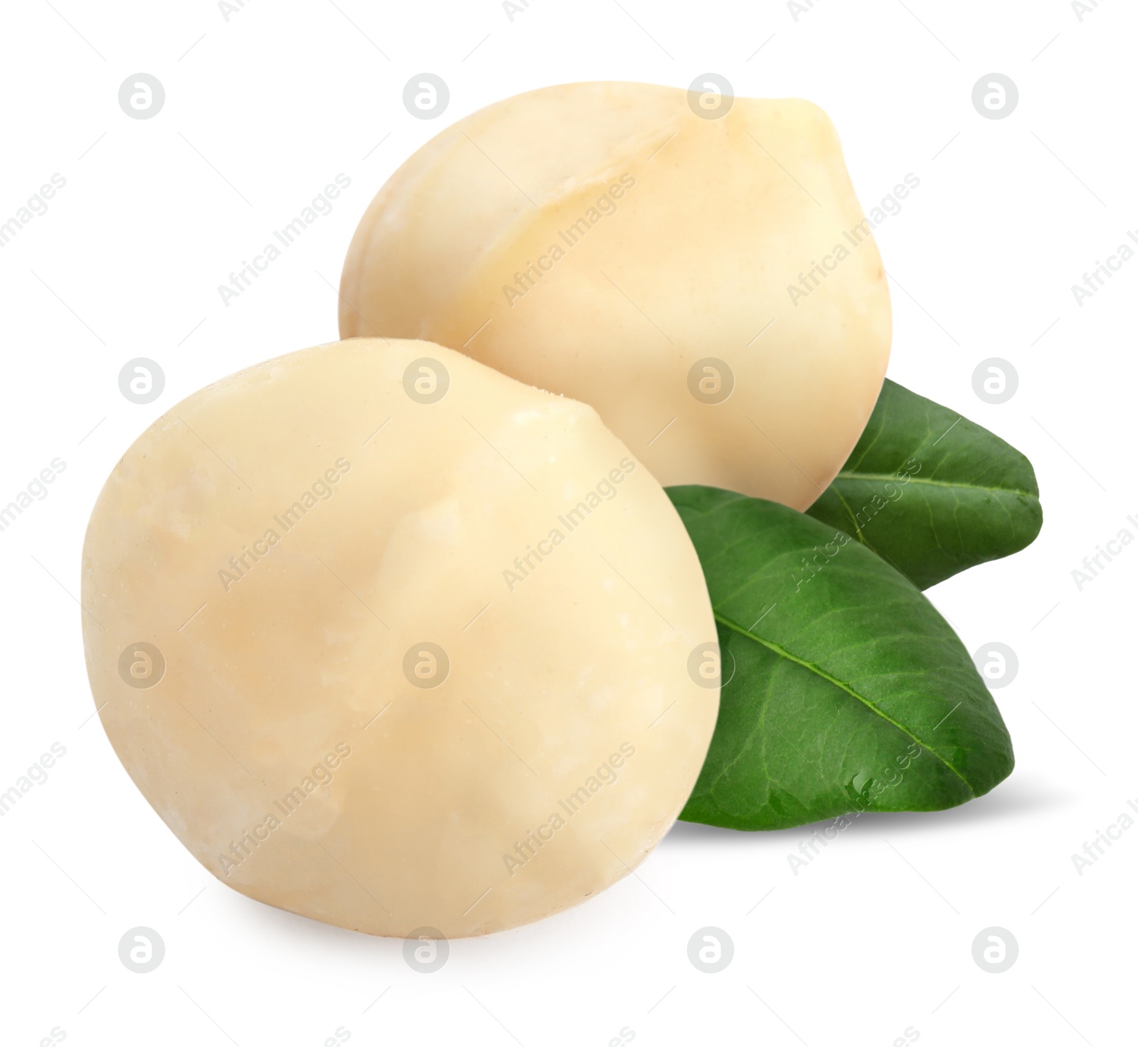 Image of Macadamia nuts and green leaves on white background