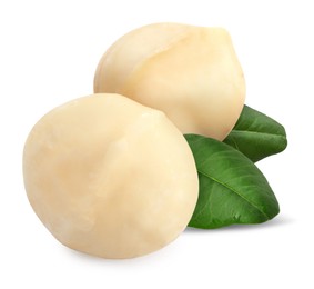 Image of Macadamia nuts and green leaves on white background