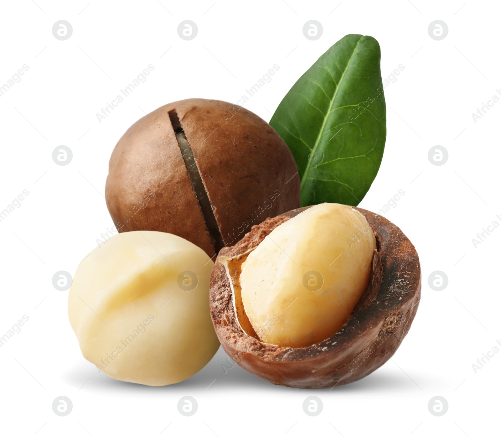 Image of Macadamia nuts and green leaf on white background