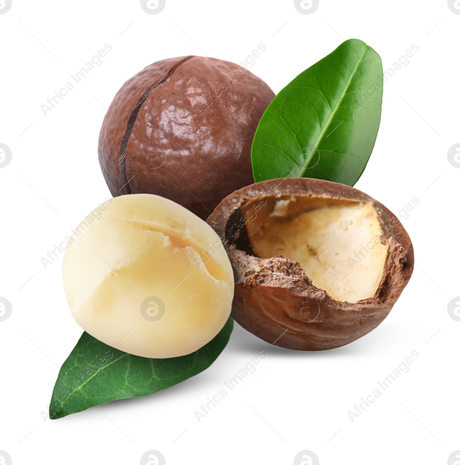 Image of Macadamia nuts and green leaves on white background