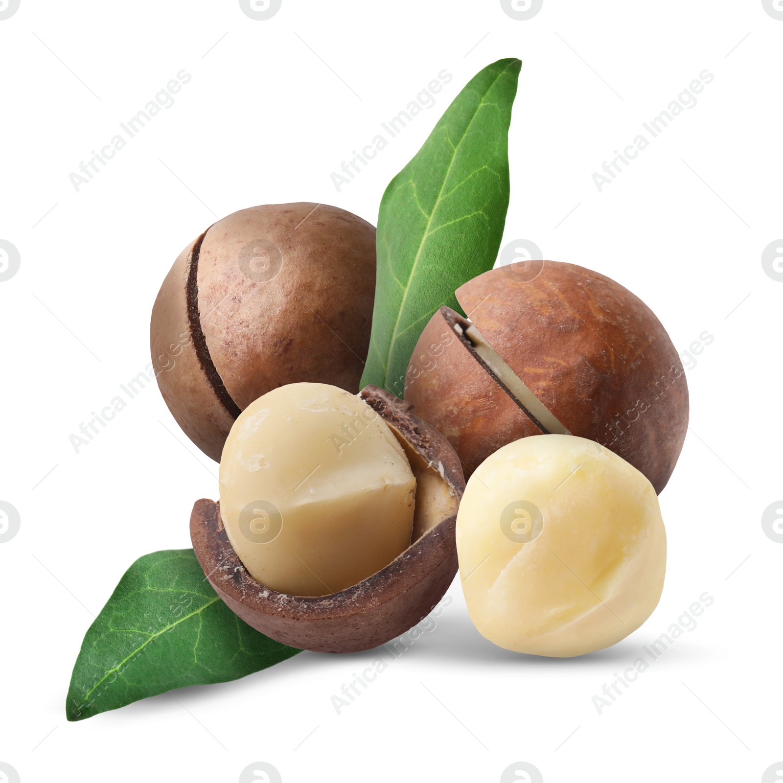 Image of Macadamia nuts and green leaves on white background