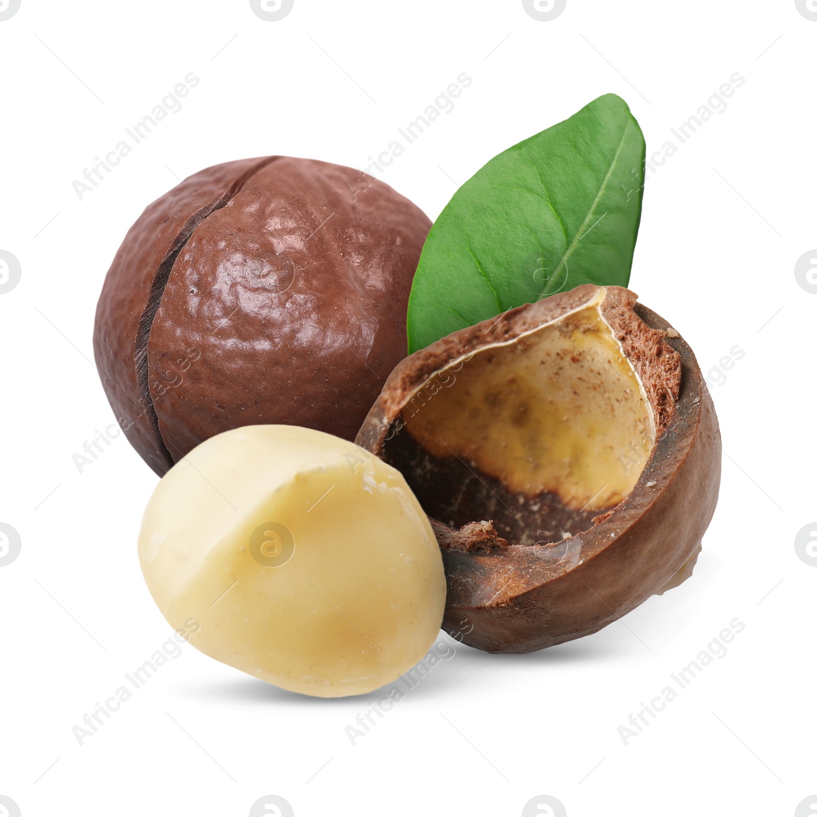 Image of Macadamia nuts and green leaf on white background