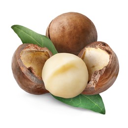 Macadamia nuts and green leaves on white background