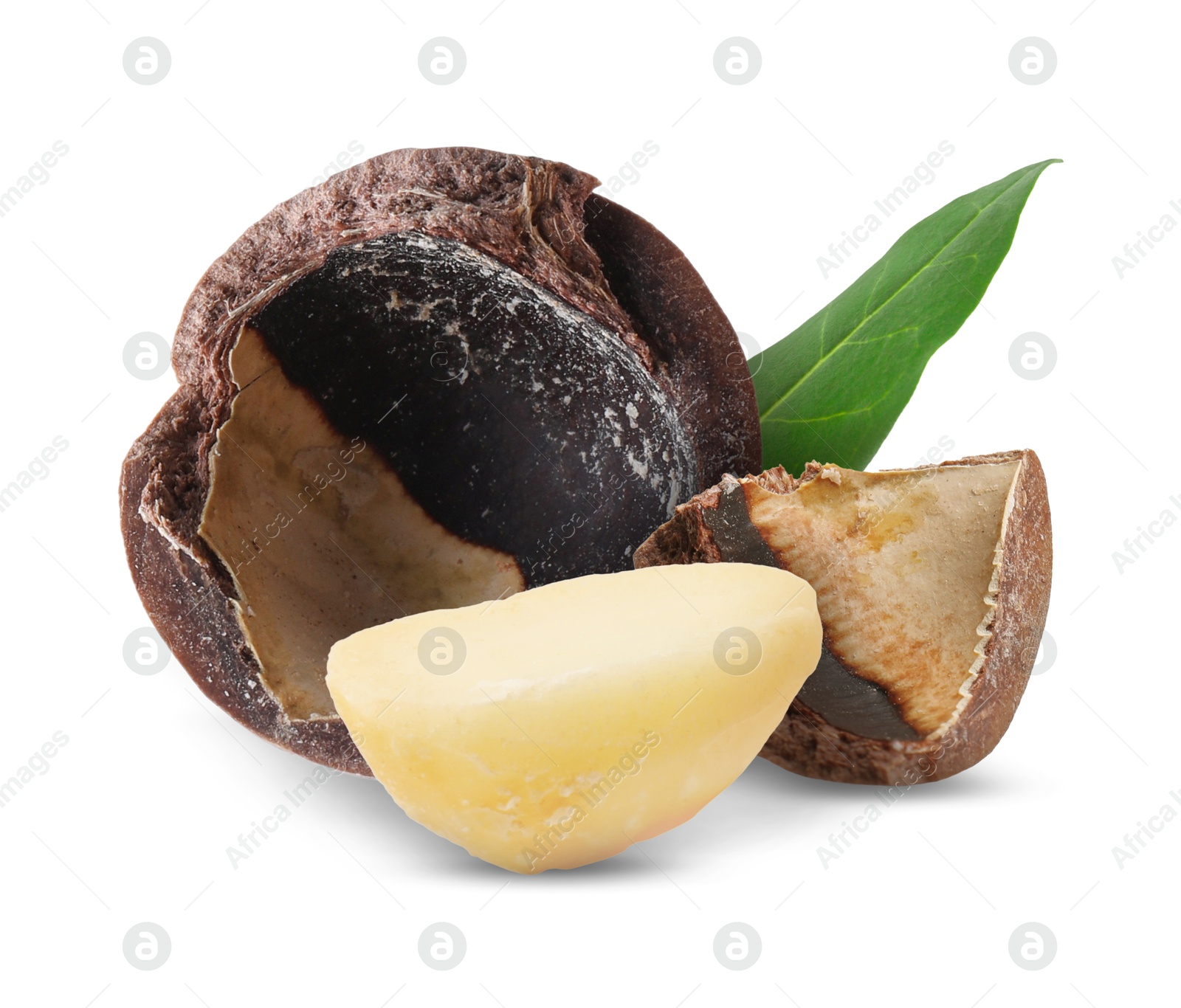 Image of Macadamia nut and green leaf on white background