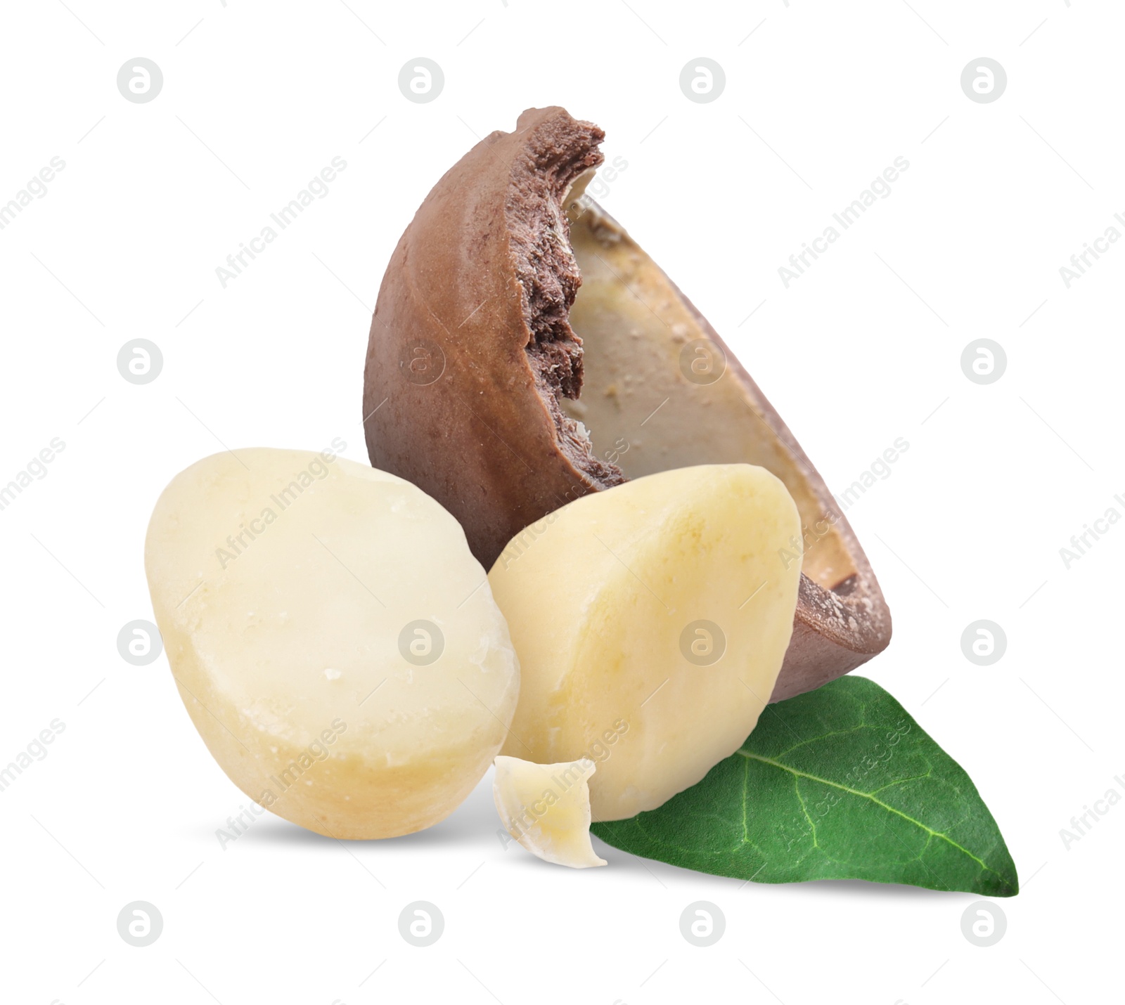 Image of Macadamia nut and green leaf on white background