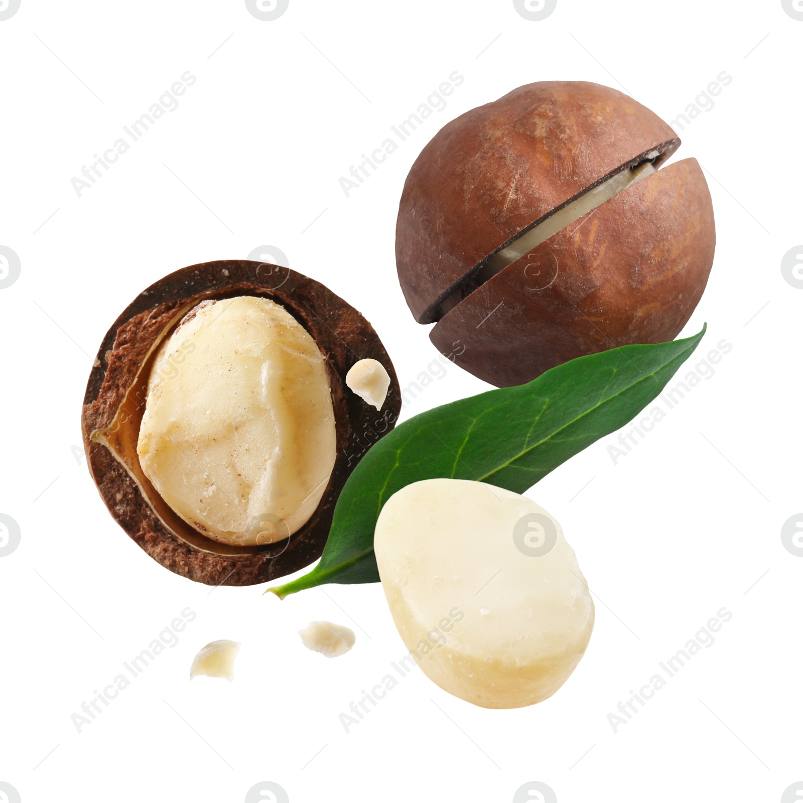 Image of Macadamia nuts and green leaf in air on white background