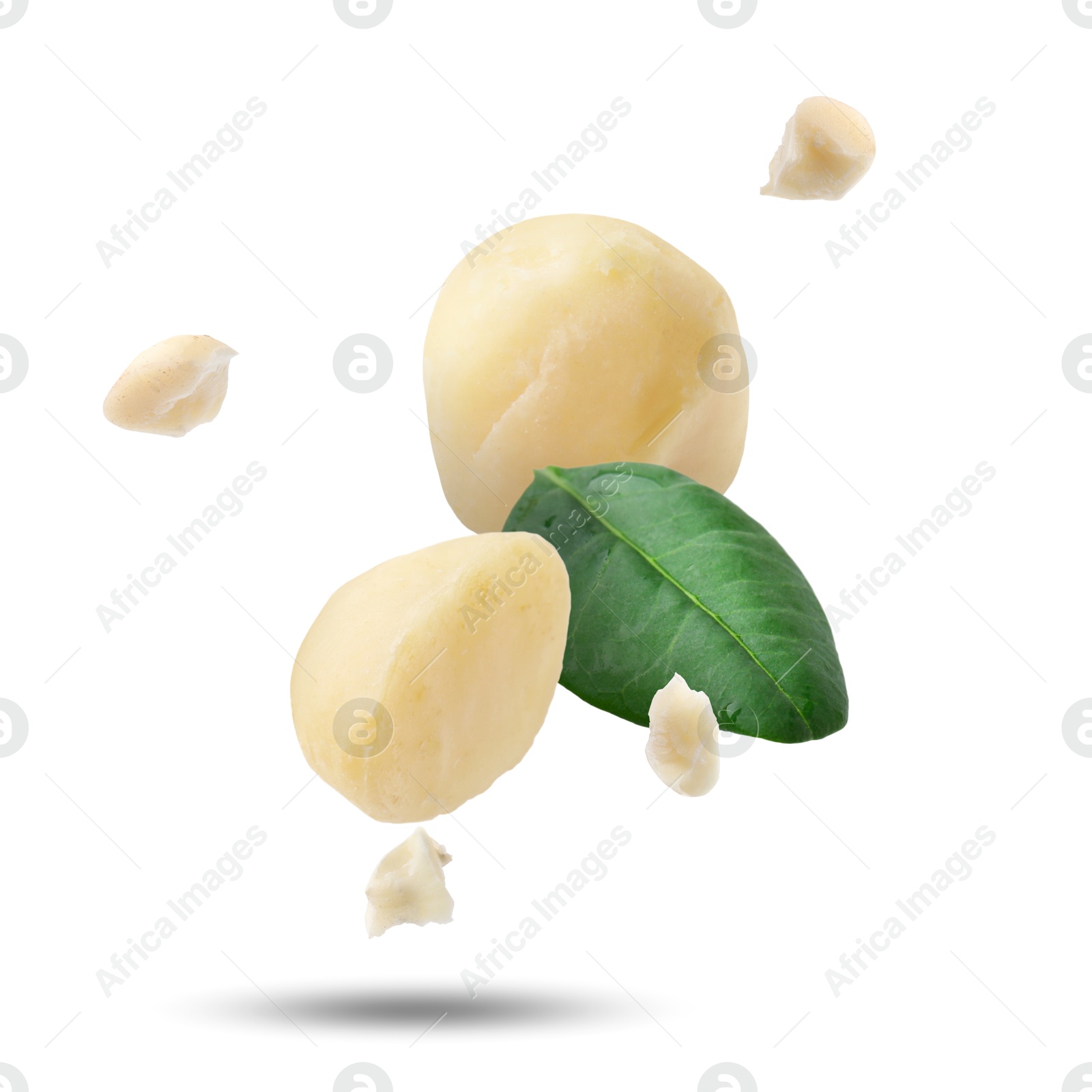 Image of Macadamia nuts and green leaf in air on white background