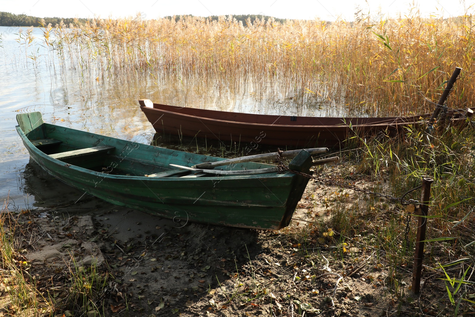 Photo of Two wooden boats and dry reeds growing near river