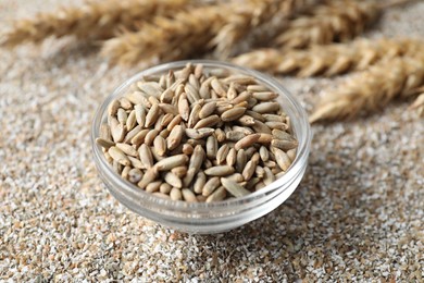 Photo of Bowl with fresh rye bran kernels, closeup