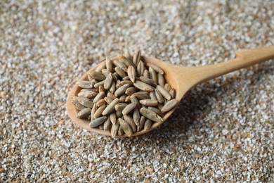 Photo of Spoon with fresh rye bran, closeup view