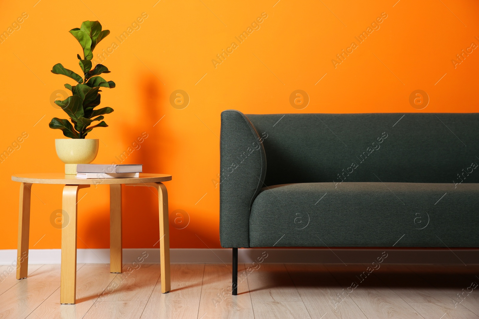 Photo of Stylish sofa, plant and books on coffee table near orange wall