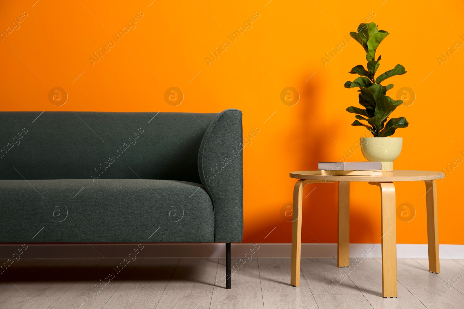 Photo of Stylish sofa, plant and books on coffee table near orange wall