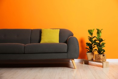 Photo of Stylish sofa with cushion and plants near orange wall