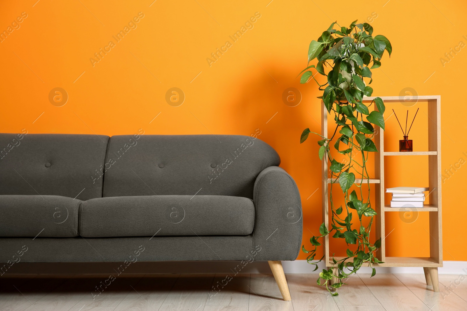 Photo of Stylish sofa and shelving unit with decor near orange wall indoors