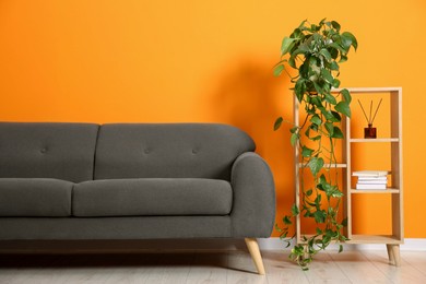 Stylish sofa and shelving unit with decor near orange wall indoors