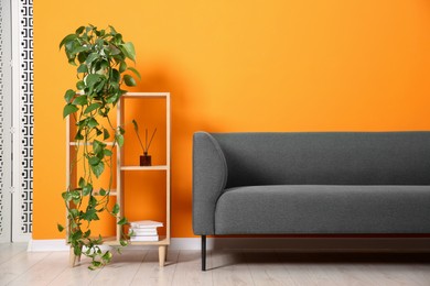 Photo of Stylish sofa and shelving unit with decor near orange wall indoors