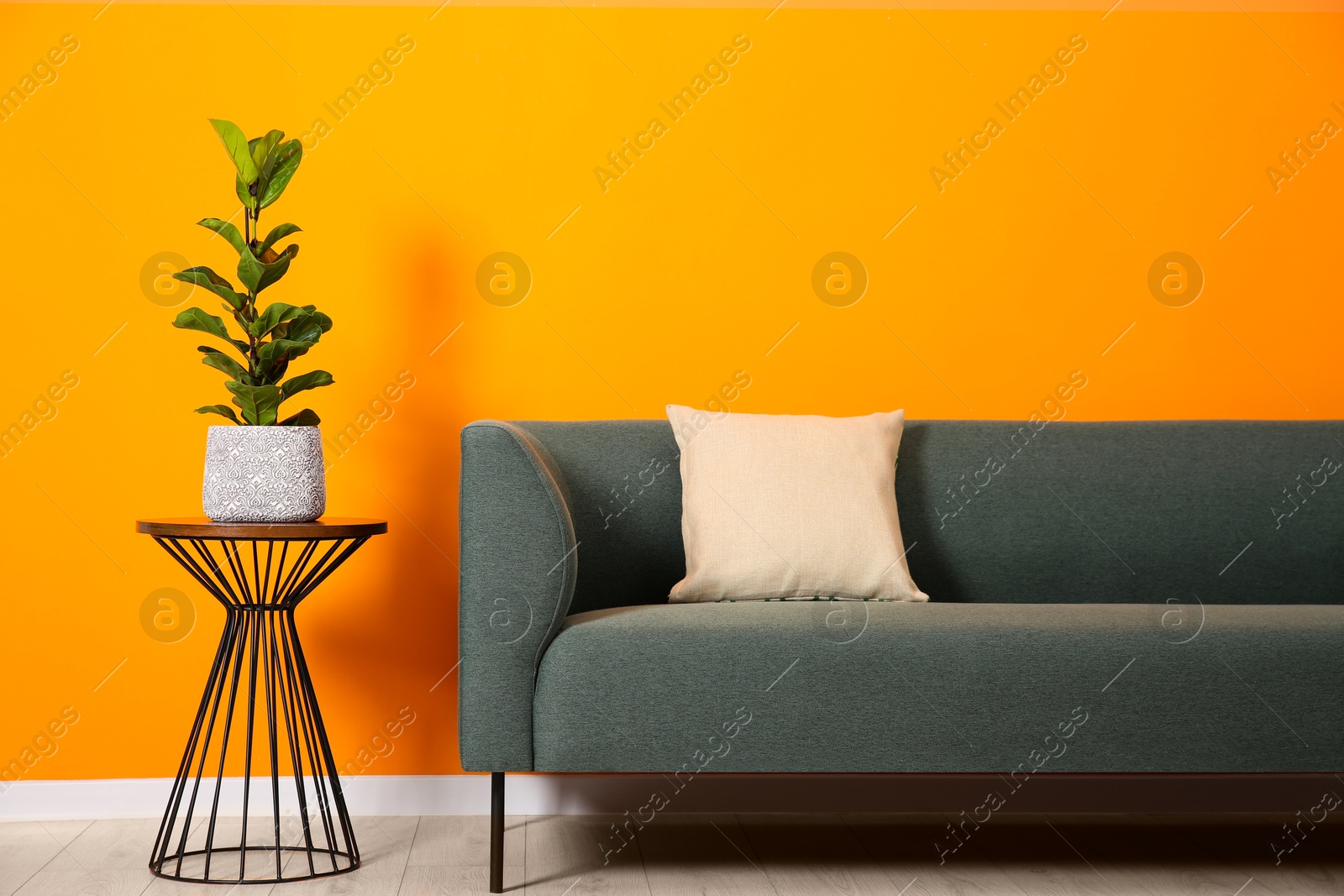 Photo of Stylish sofa, pillow and side table with houseplant near orange wall indoors