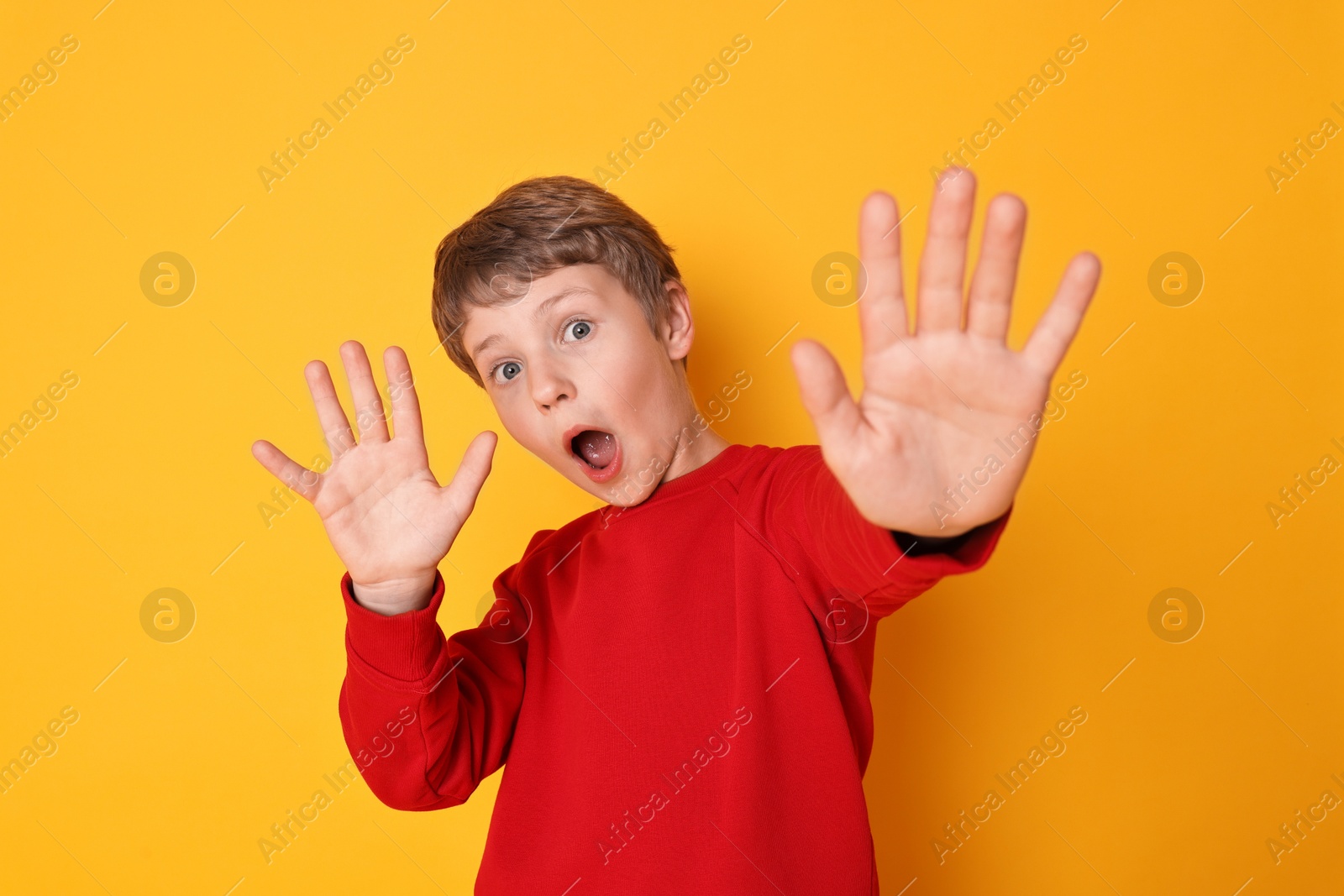 Photo of Portrait of scared little boy on orange background