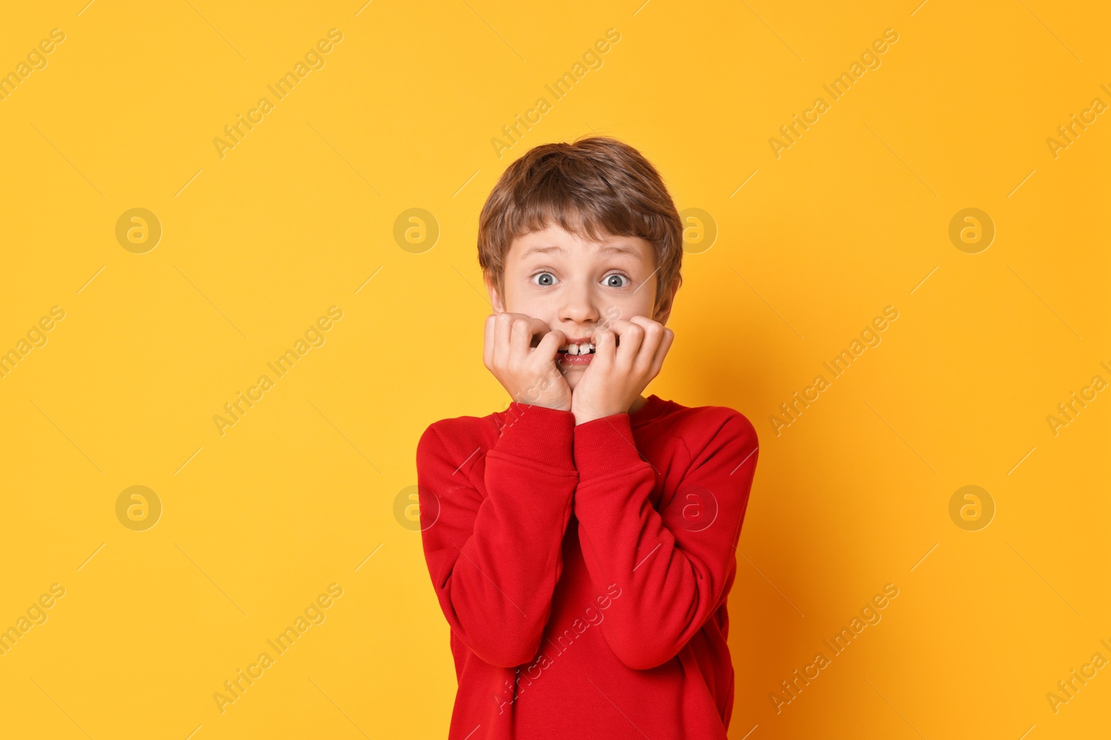 Photo of Portrait of scared little boy on orange background