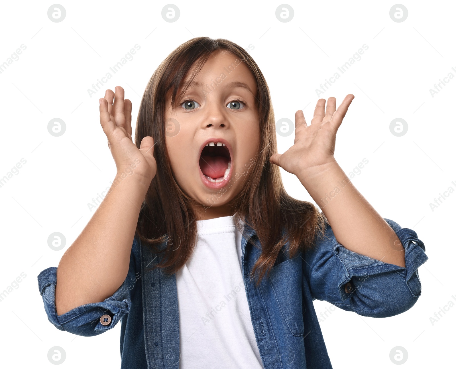 Photo of Scared little girl screaming on white background