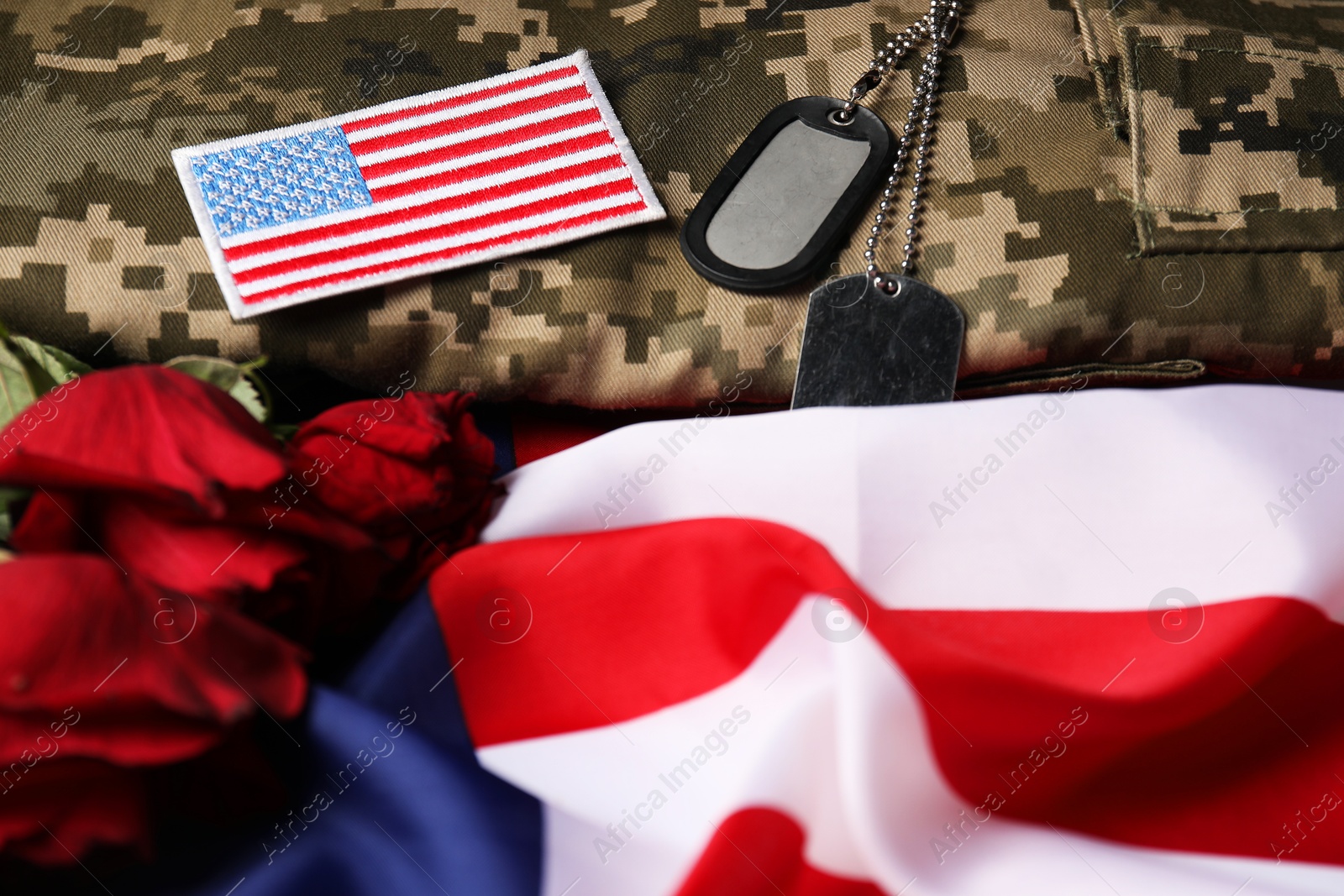 Photo of Veterans day. USA army patch, tokens, American flag, roses and military uniform, closeup