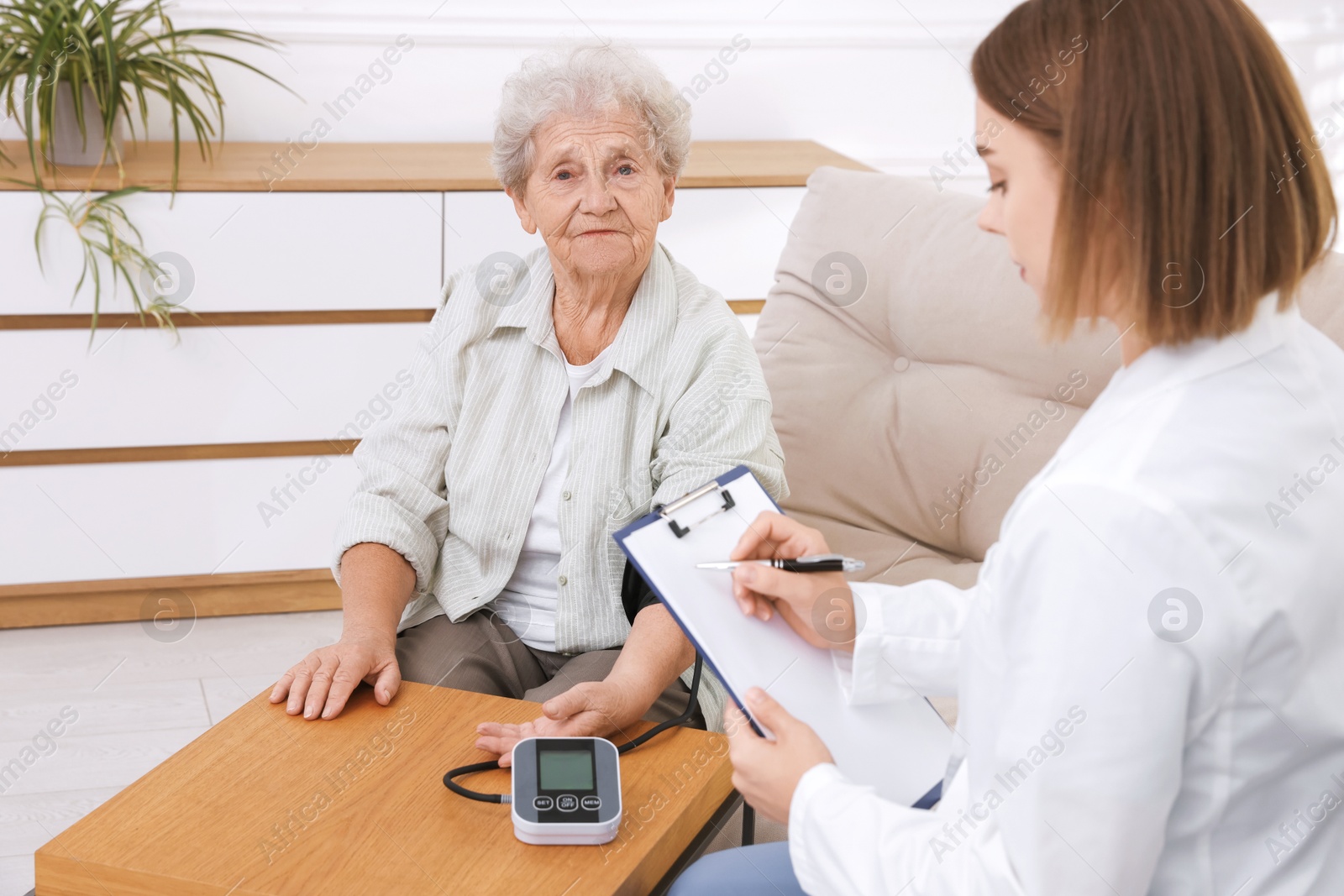 Photo of Senior woman measuring blood pressure while doctor taking notes indoors