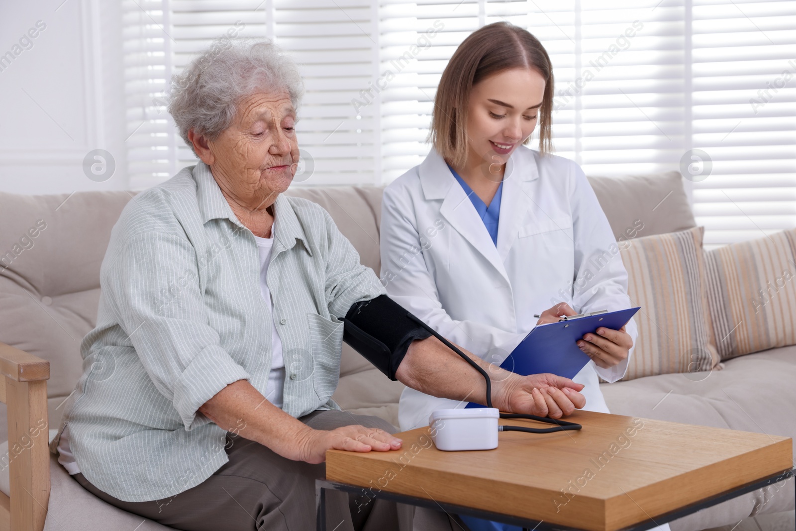 Photo of Senior woman measuring blood pressure while doctor taking notes indoors