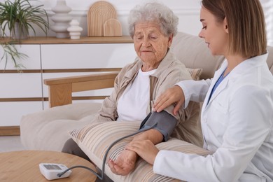 Doctor measuring patient's blood pressure on sofa indoors