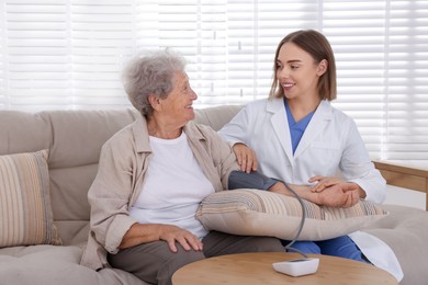 Doctor measuring patient's blood pressure on sofa indoors