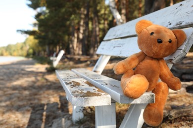 Lonely teddy bear on bench in park