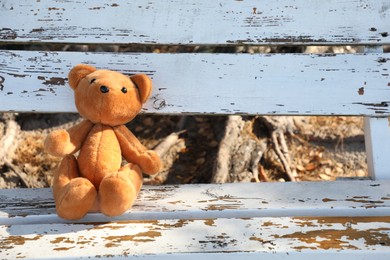 Photo of Lonely teddy bear on bench in park