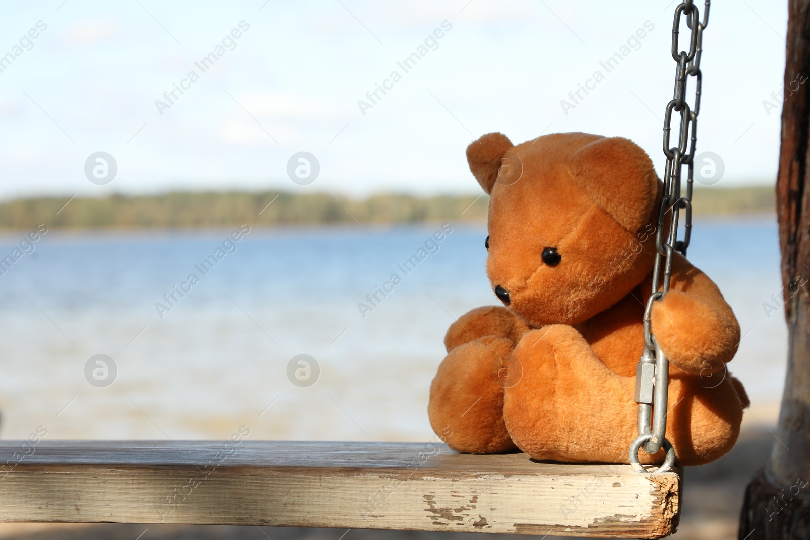 Photo of Lonely teddy bear on swing near river