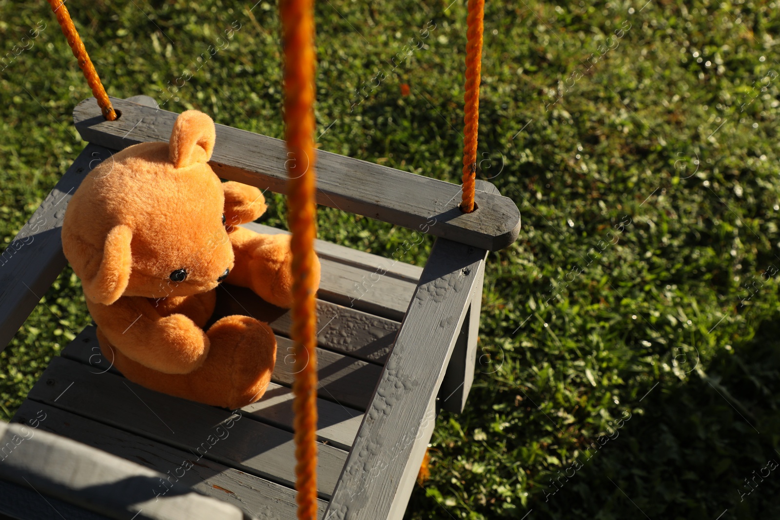 Photo of Lonely teddy bear on swing in park, above view