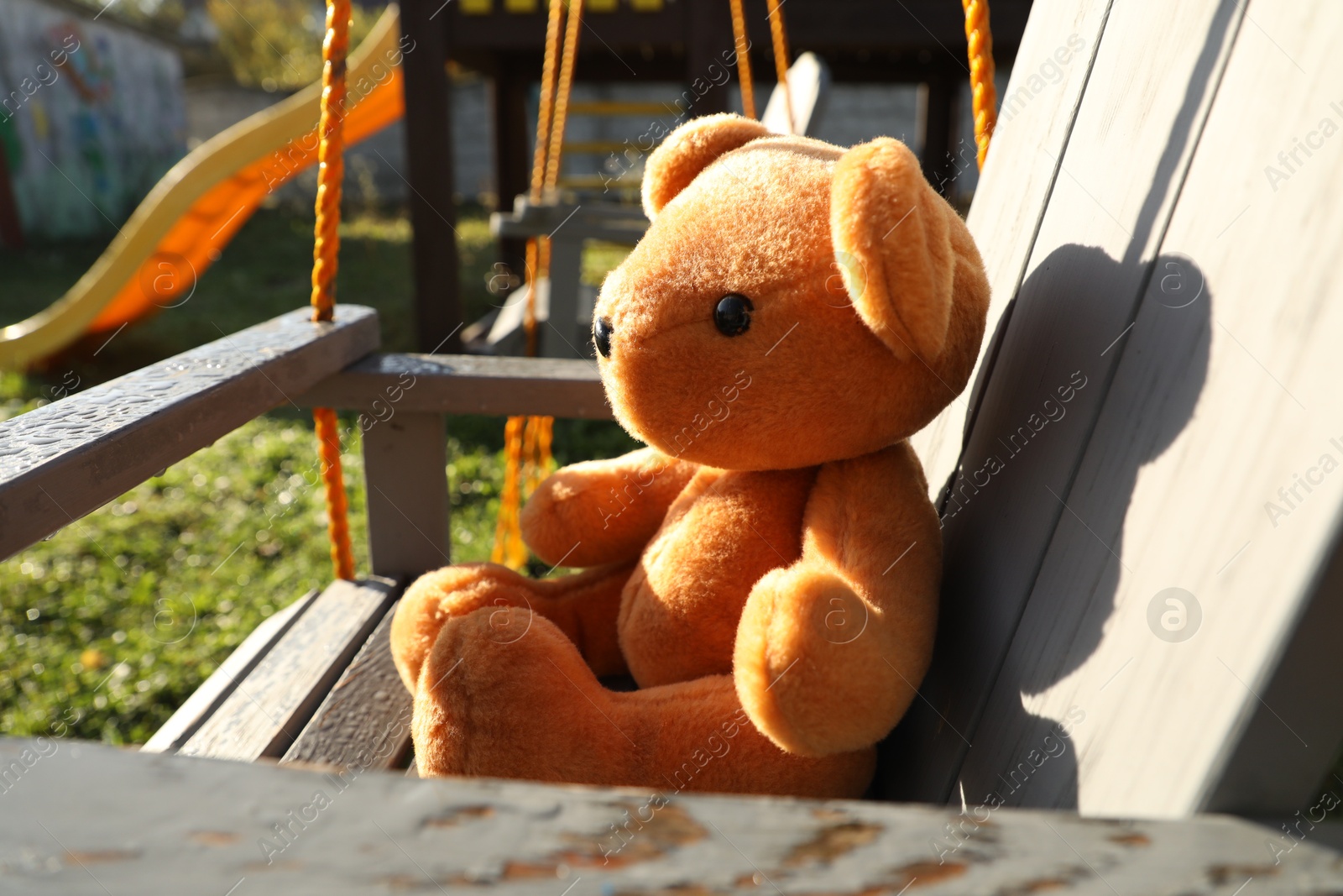 Photo of Lonely teddy bear on swing in park