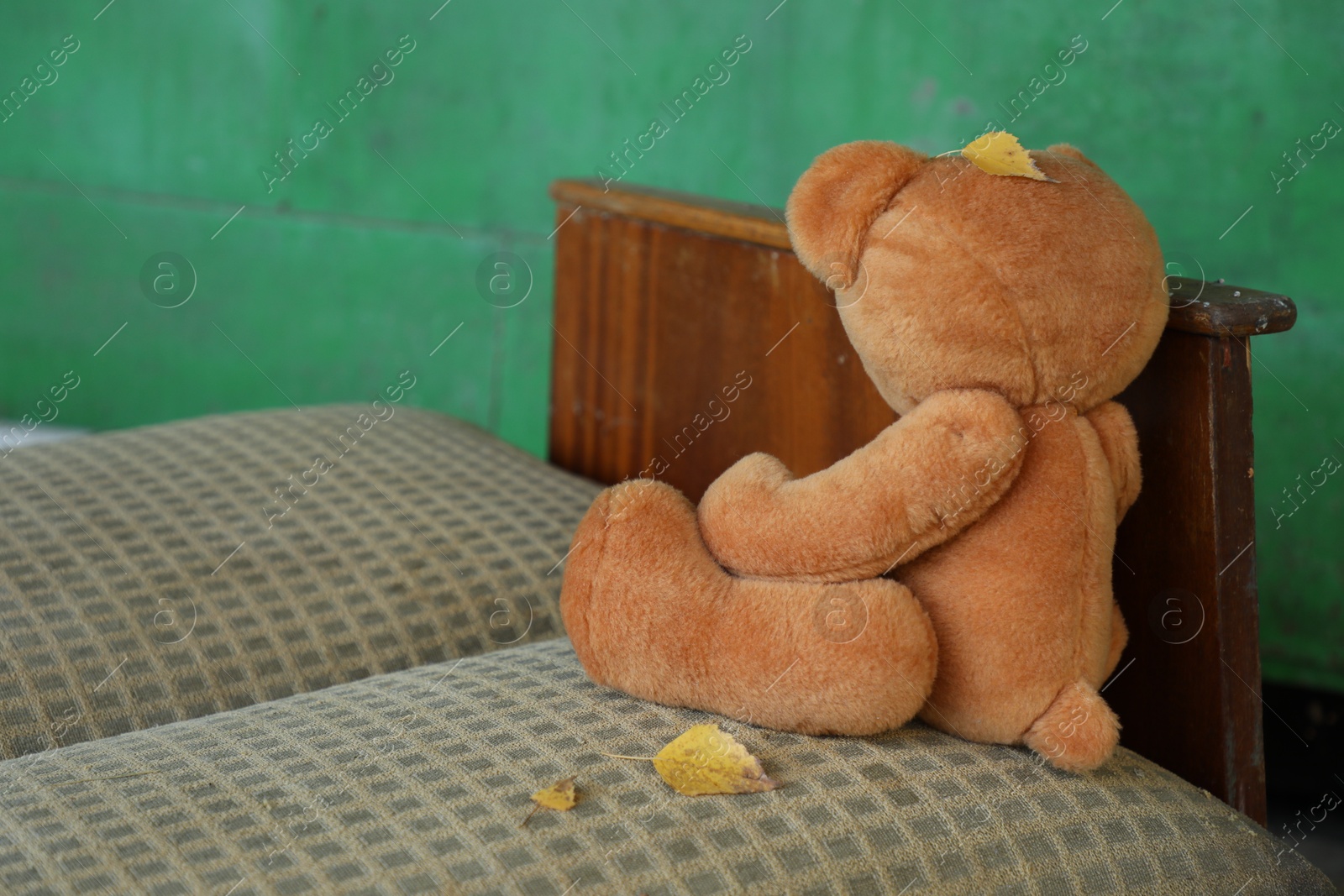 Photo of Lonely teddy bear on old bed near green wall outdoors