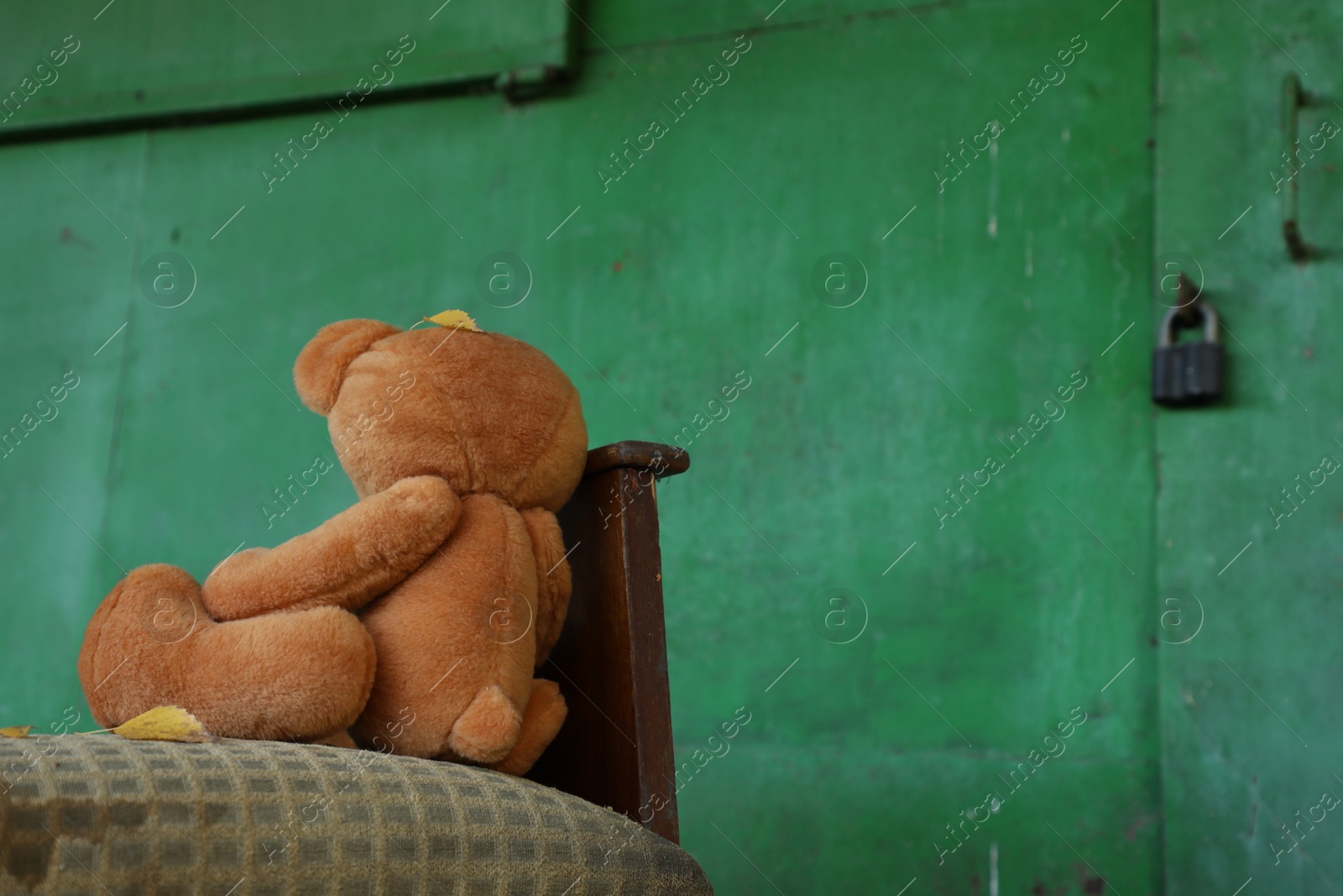 Photo of Lonely teddy bear on old bed near green wall outdoors