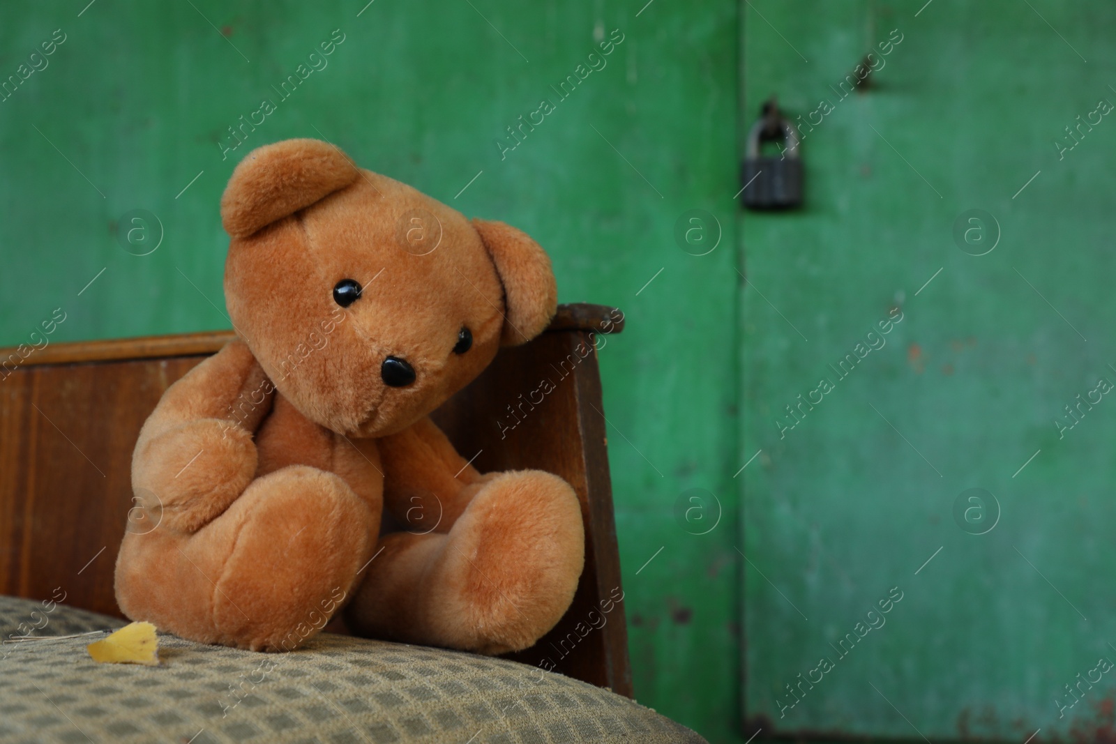 Photo of Lonely teddy bear on old bed near green wall outdoors