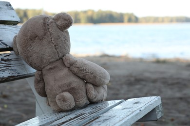 Lonely teddy bear on bench at beach, back view