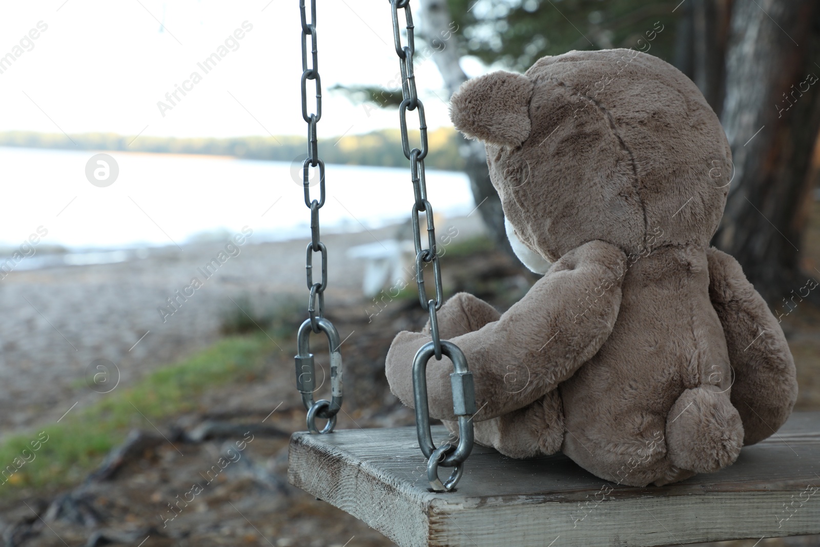 Photo of Lonely teddy bear on swing at beach, back view