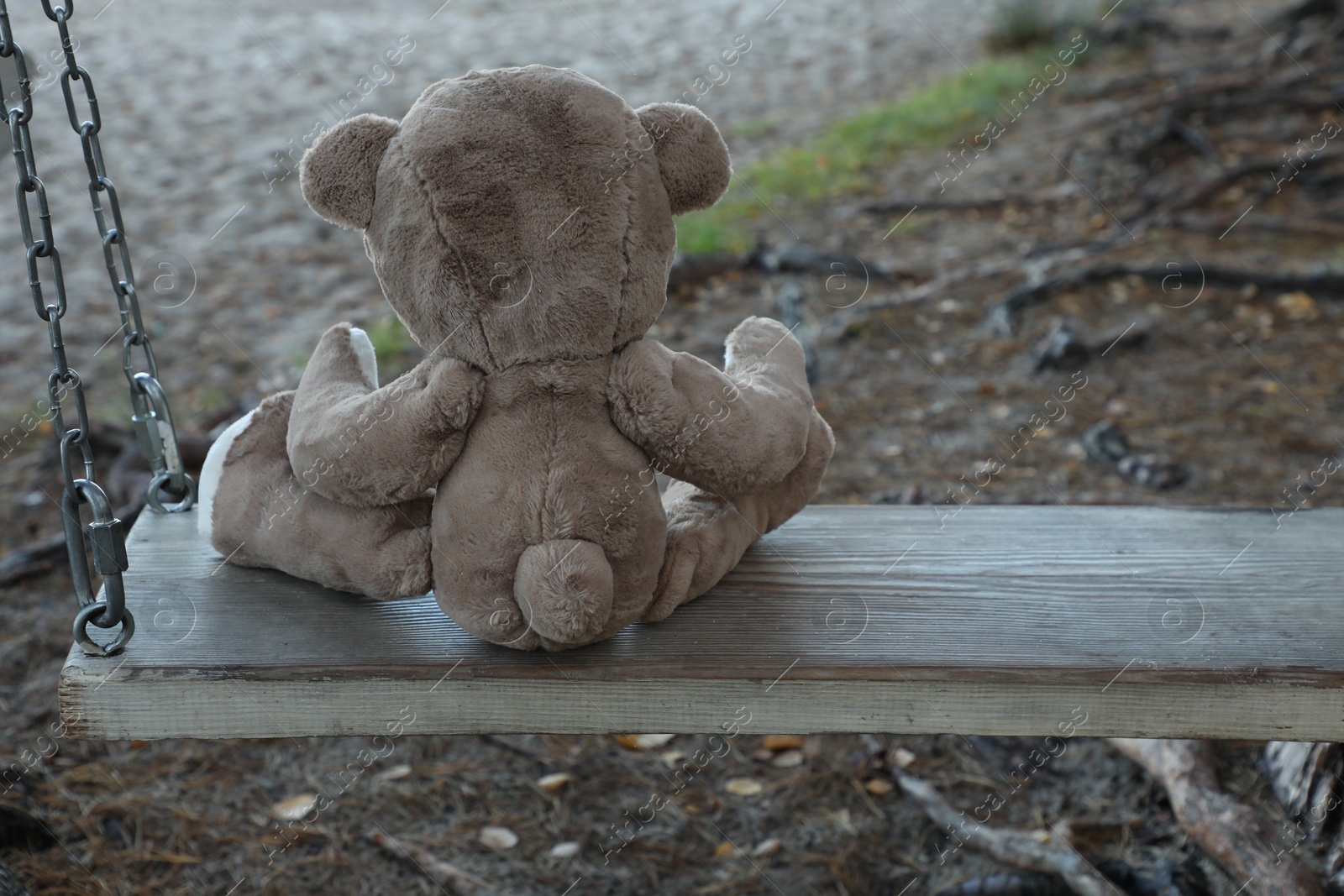 Photo of Lonely teddy bear on swing in park, back view