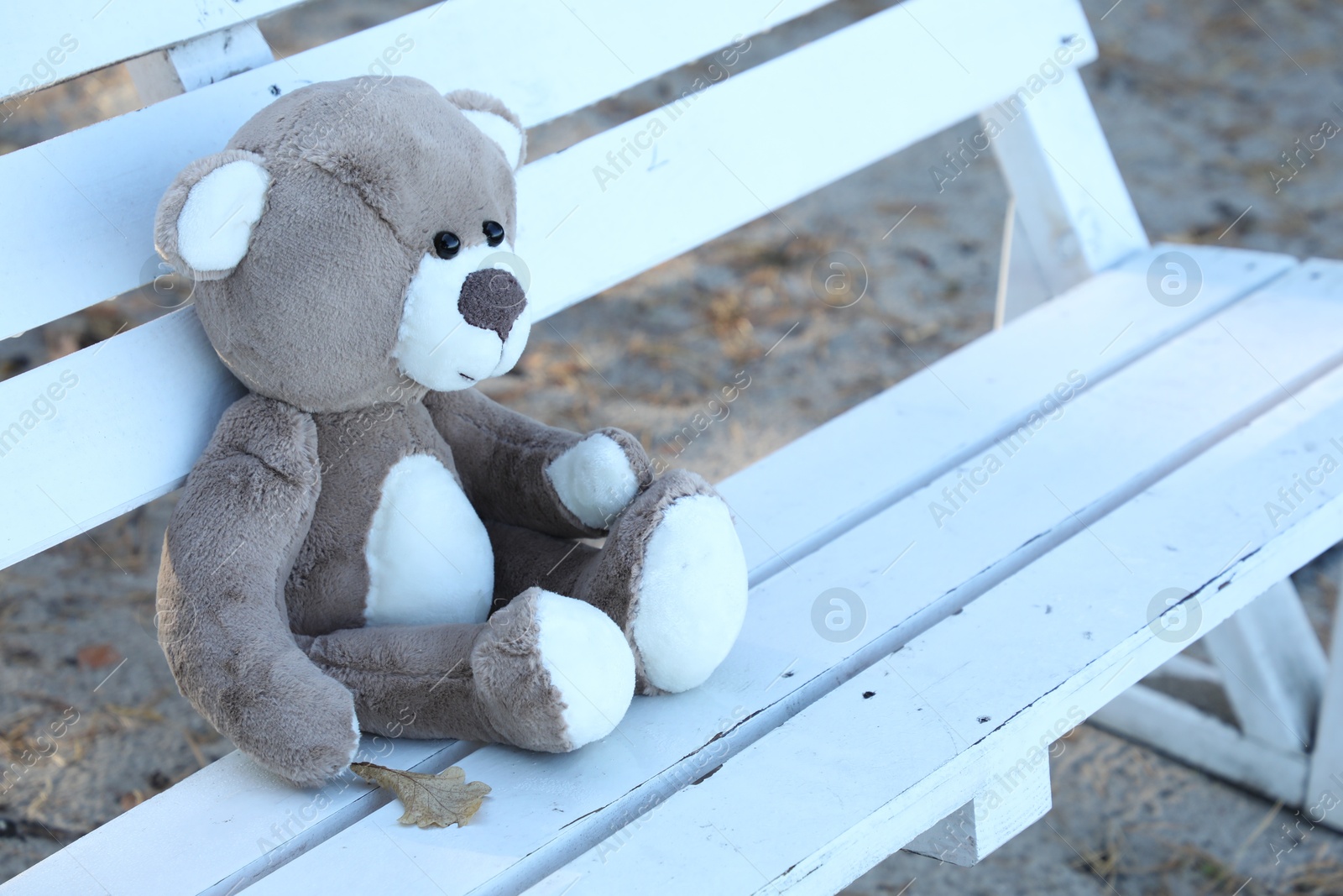 Photo of Lonely teddy bear on bench in park