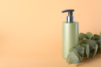 Shampoo in bottle and green eucalyptus leaves on pale orange background, space for text